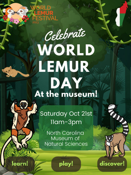 flyer for World Lemur Day